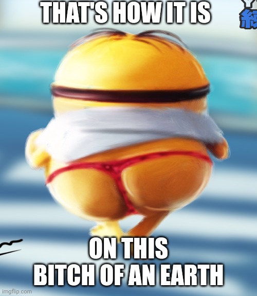 V.jpg