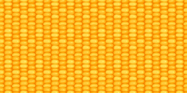 CORN.jpg