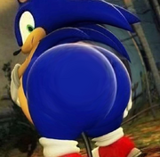 Obese sanc.png
