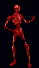 Ezgif-3-ca9bd728a2.gif