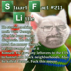 Stuart-little-fact-v0-7ocowcbd8xb91.webp