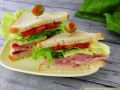 Sandvich Source 2
