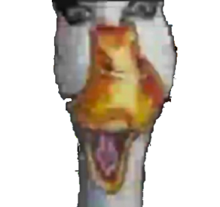 Daring Duck.png