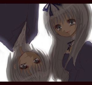 100px100px