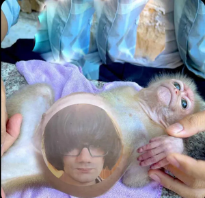The birth of the poop monster later known as "Johnny Kun"