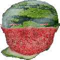 Thumbnail for version as of 22:20, 21 November 2024