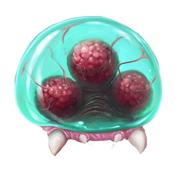 File:MSR baby artwork.jpg