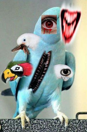 The horror.jpg