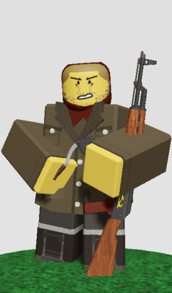 [Insert]