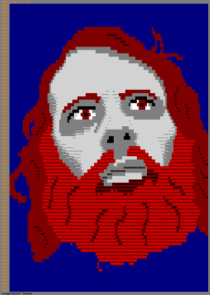 WeevPhoto.png