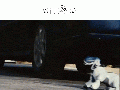 Sne3zeInANutshell.gif